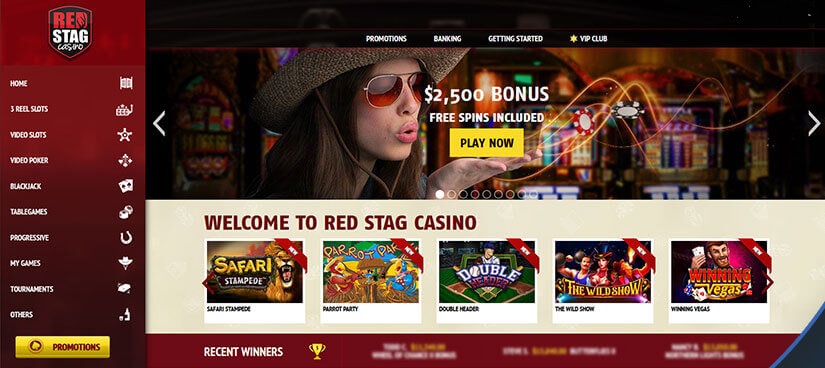 RED STAG CASINO LOGIN: GATEWAY TO UNMATCHED GAMING EXCITEMEN 2