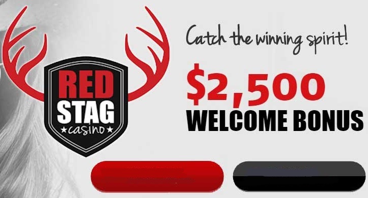 RED STAG PROMO CODES: BOOST YOUR GAMING EXPERIENCE WITH REWARDS 2